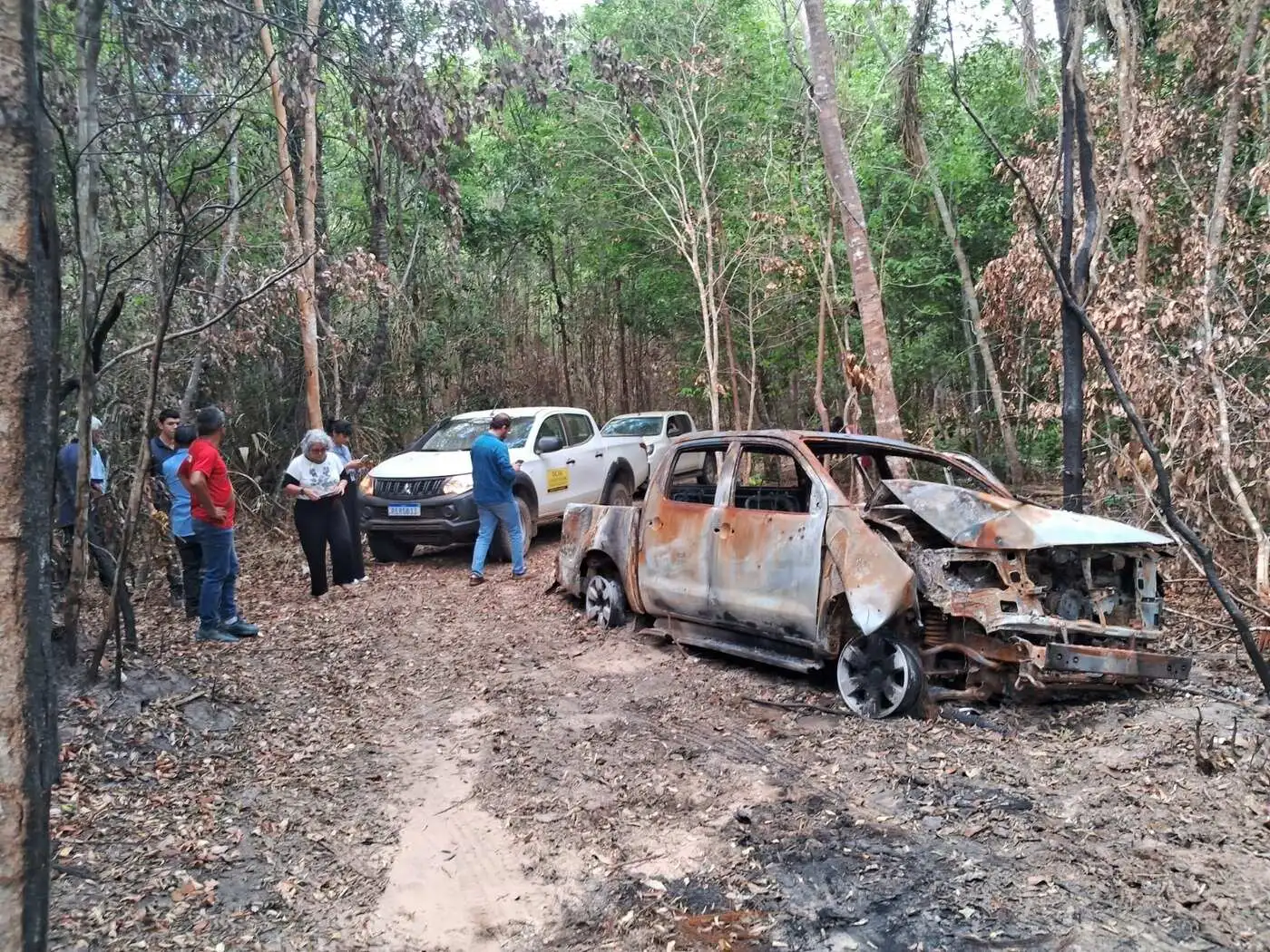 Documentos Revelam A Atua O De Mil Cias Que Agem A Mando De Grileiros