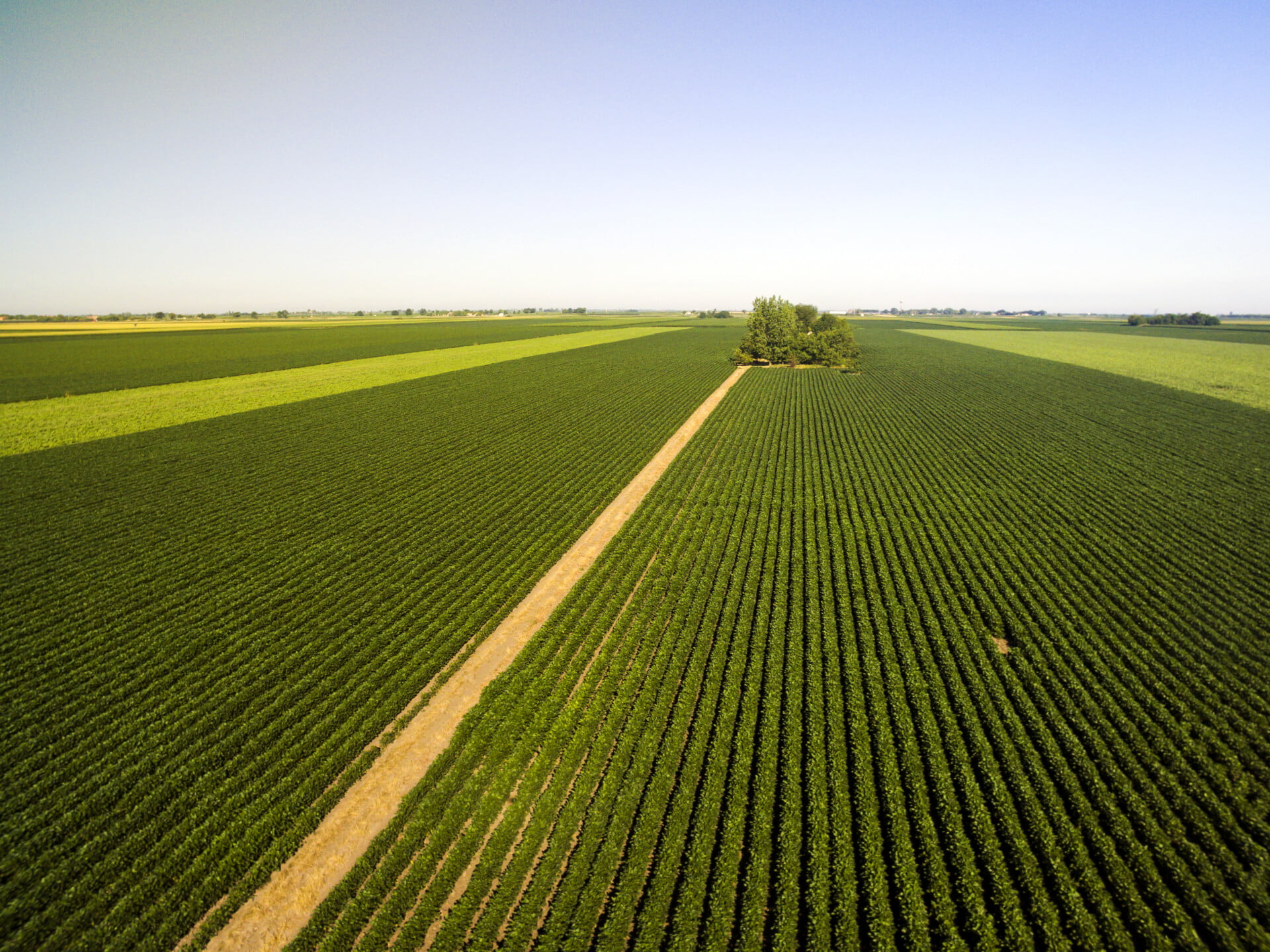 Fernando Haddad, autorização de agrotóxicos, safra de grãos, queimadas e desmatamento, produção agrícola, soja, plantação, agricultura