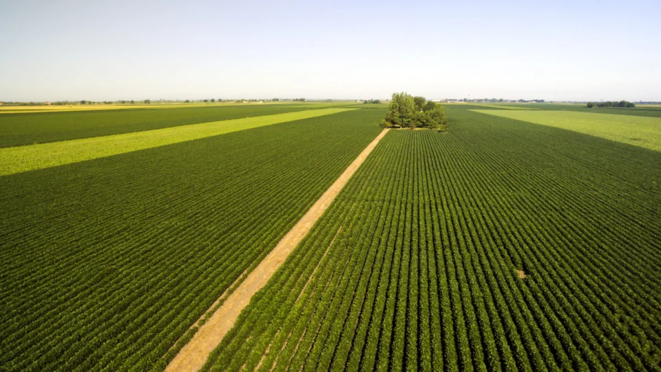 Artigo: O agro não é pop