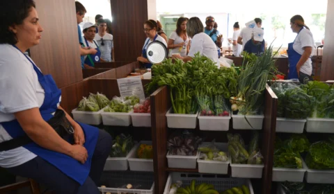 Nove meses após ser criado, auxílio a agricultores atendeu apenas uma pequena fração das famílias a que se destinava