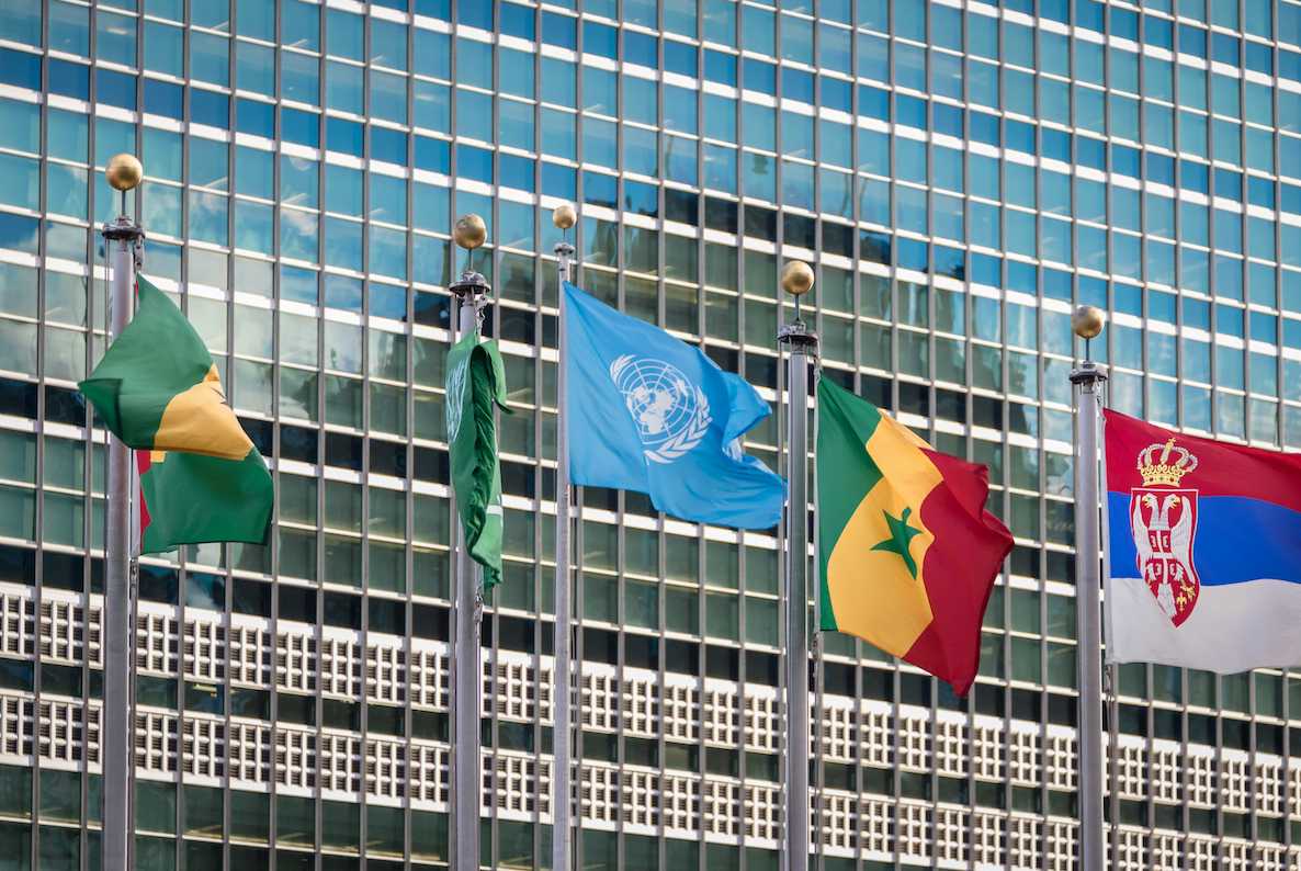organizações internacionais, cúpula do clima, COP 27, ONU, informe global da ONU, nações unidas,