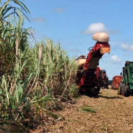 Safra brasileira de grãos deve atingir recorde de 350,4 milhões de toneladas em 2026