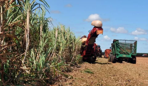 Restrição da China a fertilizantes acende alerta no agro brasileiro