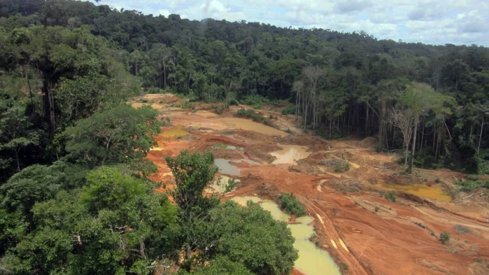 Apenas 9,5% dos garimpos de ouro operam na legalidade no Brasil, diz WWF
