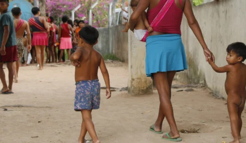 TCU vai fazer varredura em sistemas do governo para investigar causas da crise humanitária do povo yanomami