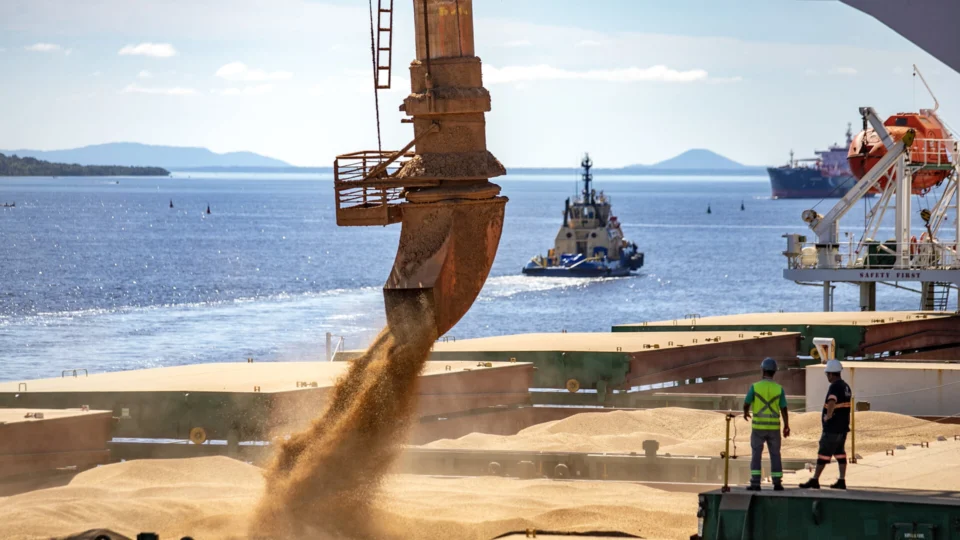 Impulsionados pelas commodities, portos brasileiros batem recorde de movimentação no 1º semestre