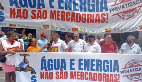 A privatização e a miragem da eficiência: desestatizar é sempre a melhor opção?