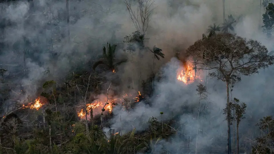 Delegado da PF diz que há indícios de ação coordenada em incêndios