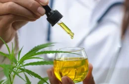 Avó é absolvida de tráfico após pais cultivarem cannabis medicinal para tratar a neta