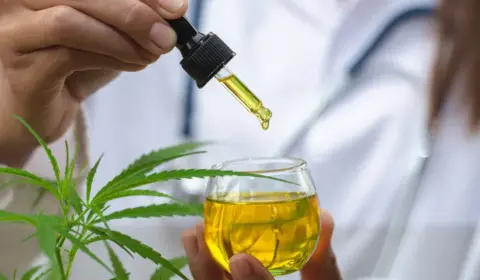 Experimentos apontam potencial do canabidiol para reverter danos do Alzheimer