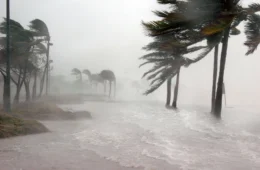 Defesa Civil apura ocorrência de tornado após tempestade em Santa Catarina