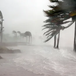 Defesa Civil apura ocorrência de tornado após tempestade em Santa Catarina