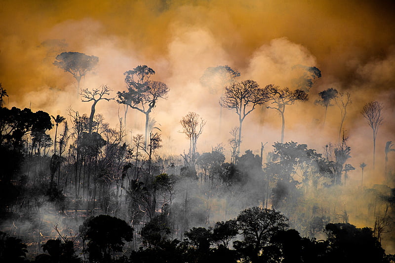 Amazonas