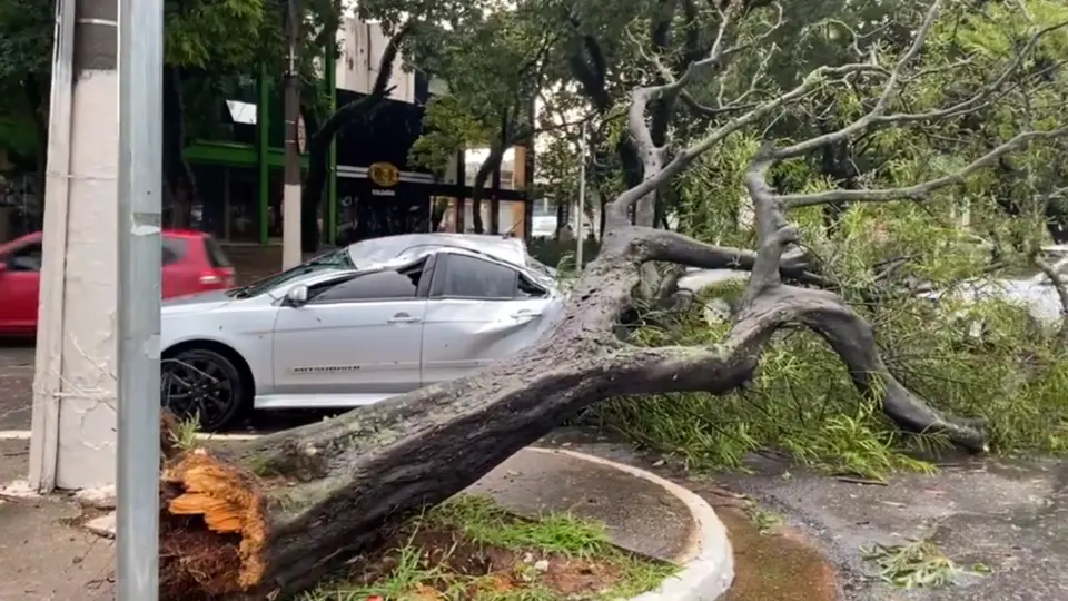 Chuva em SP: Um morto no interior, quatro feridos no Ibirapuera e falta de luz