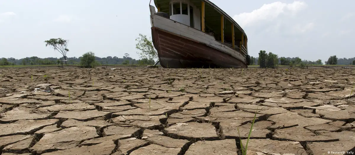 Mudanças climáticas e ação do homem na Amazônia colocam em risco região de maior biodiversidade do planeta