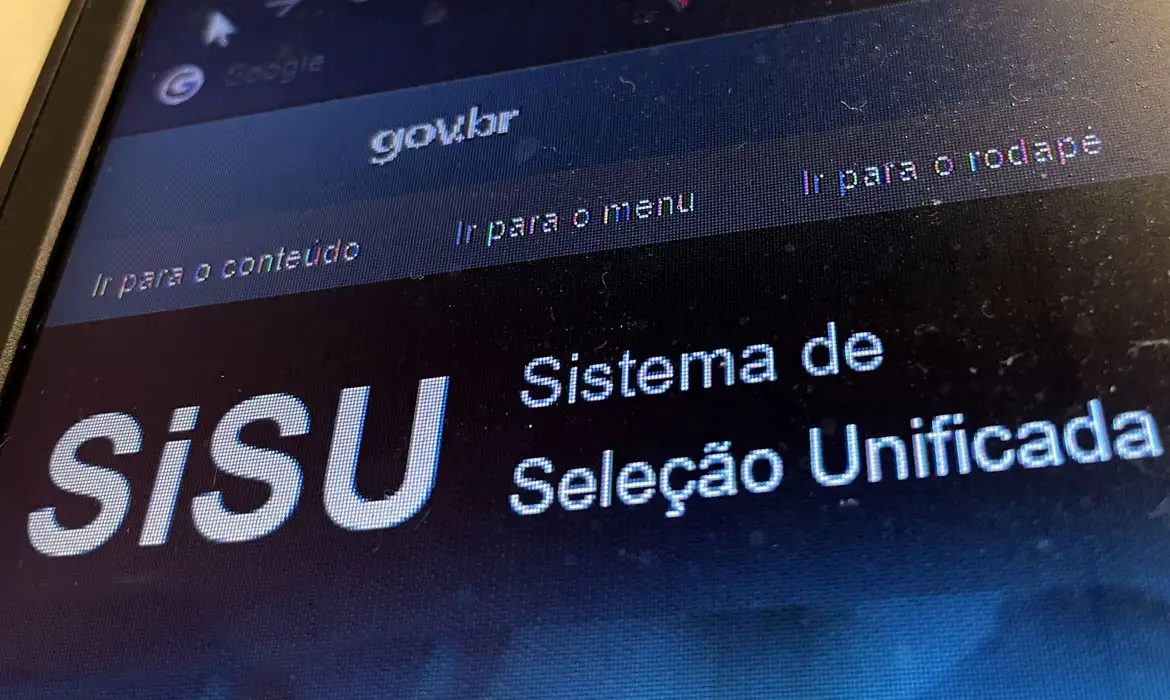 Sisu