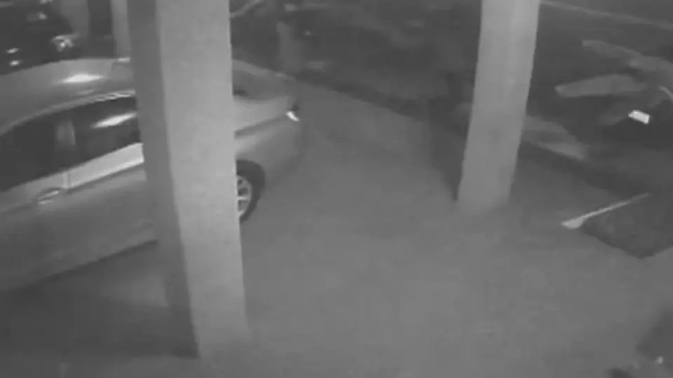 Embaixada da Hungria demite dois brasileiros após imagens de Bolsonaro vazarem