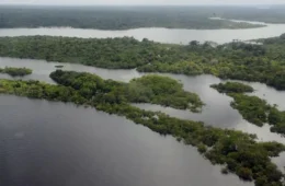 Alertas de desmatamento caem 40% no Cerrado e 15% na Amazônia em abril