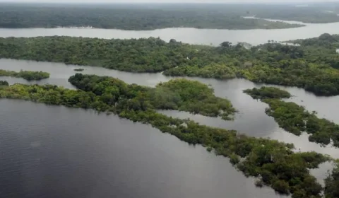Alertas de desmatamento caem 40% no Cerrado e 15% na Amazônia em abril