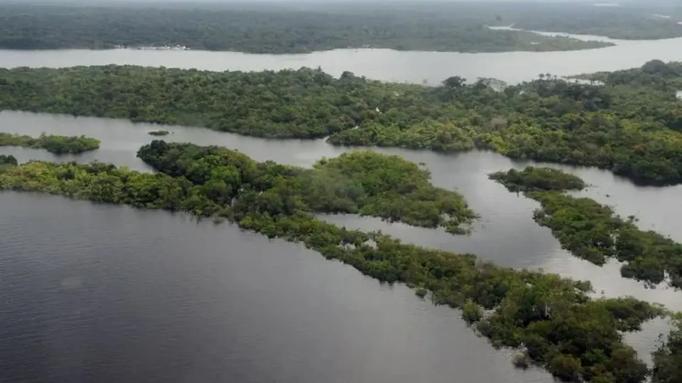 Congresso privilegia máquinas e destina menos de 1% das emendas para proteger meio ambiente