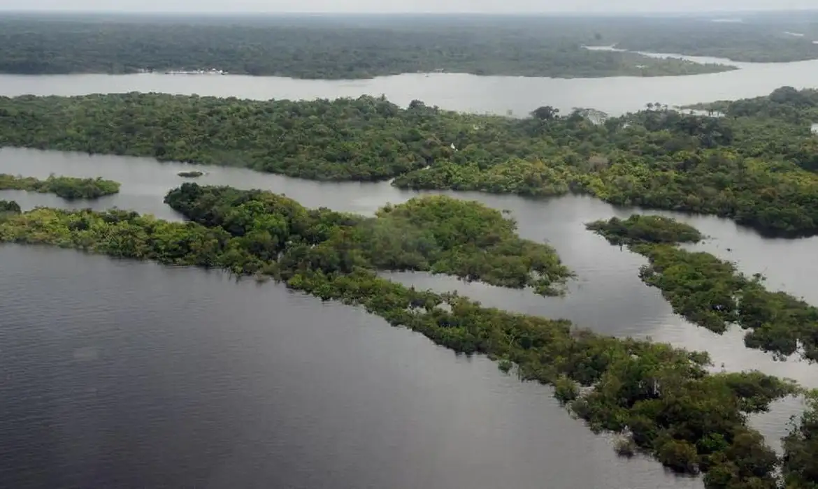 Alertas de desmatamento caem 40% no Cerrado e 15% na Amazônia em abril