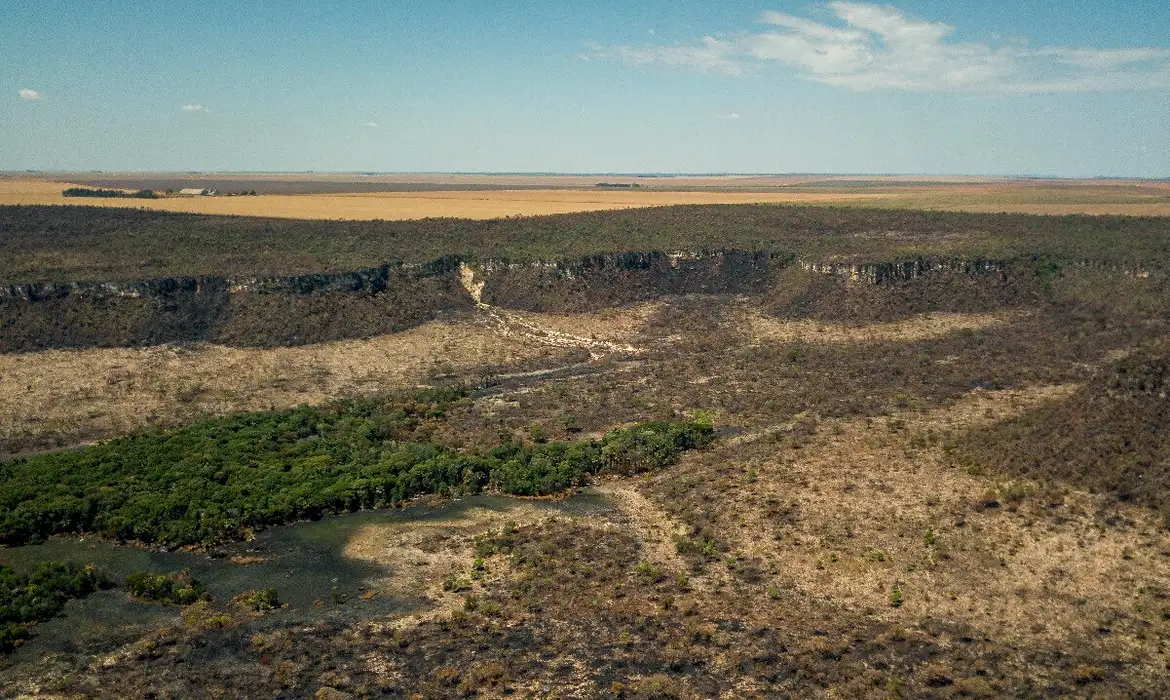 Cerrado sofre com queimadas e desmatamentos (Tomas Bauer/Instituto Sociedade População e Natureza) Áreas desmatadas do Cerrado