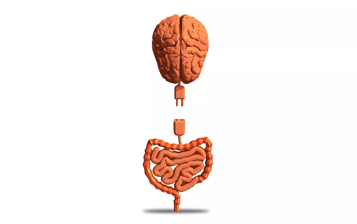Saúde intestinal