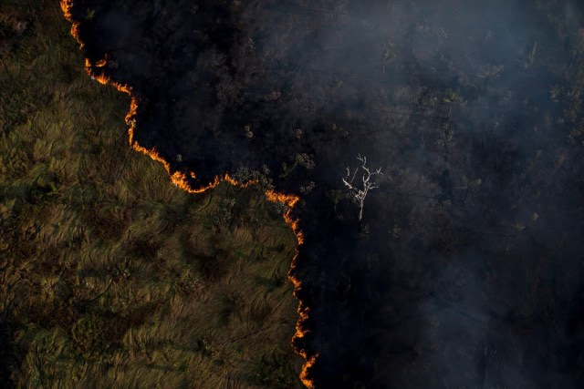 Ibama tem só R$ 50,2 mi contra desmatamento e queimadas, longe dos R$ 120 mi ideais (Bruno Kelly/Amazônia Real)
