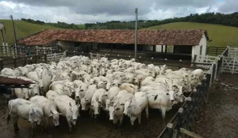 Governo brasileiro turbina negociação com União Europeia para evitar suspensão de venda da carne