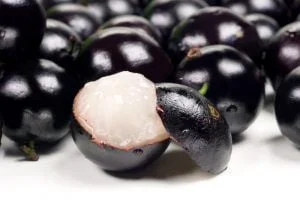 Jabuticaba Jabuticaba é eleita a sétima melhor fruta do mundo