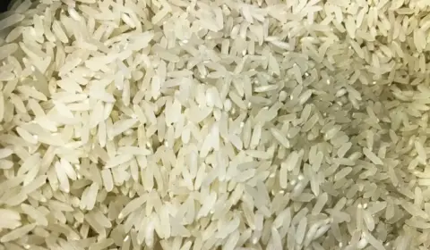 Conab planeja retomar estoques de arroz para evitar desvalorização, diz presidente