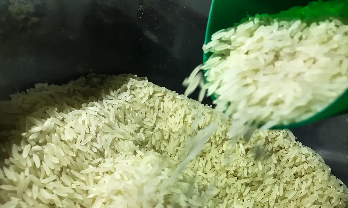 Governo convoca CGU, AGU e Receita para nova compra internacional de arroz