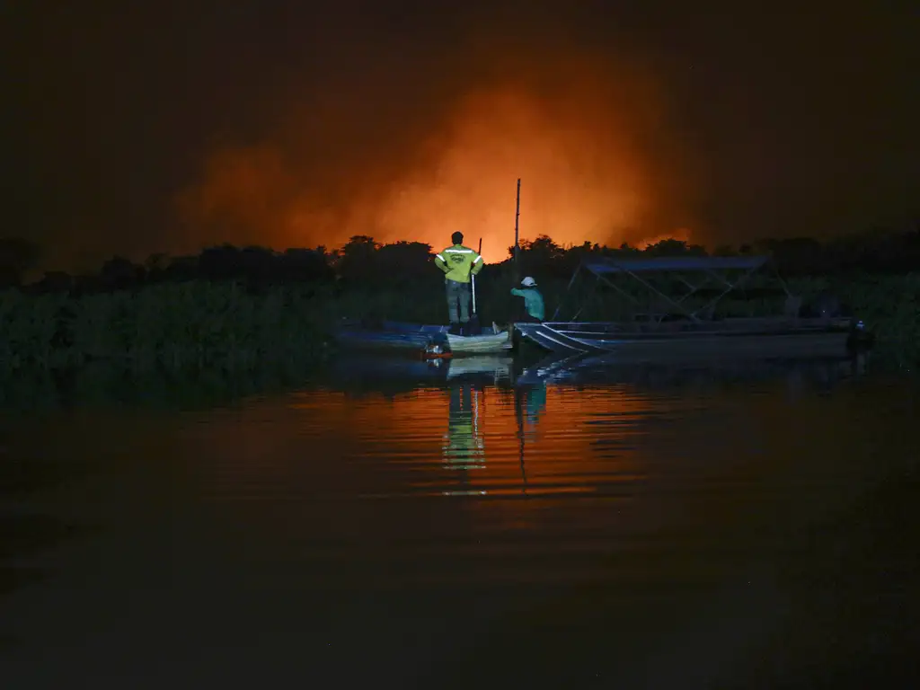pantanal