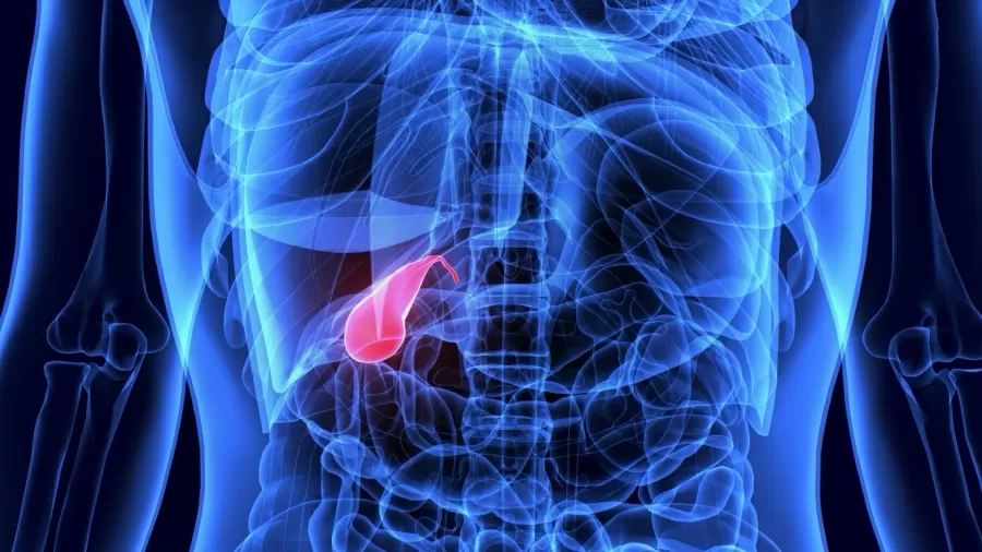 Cirurgia