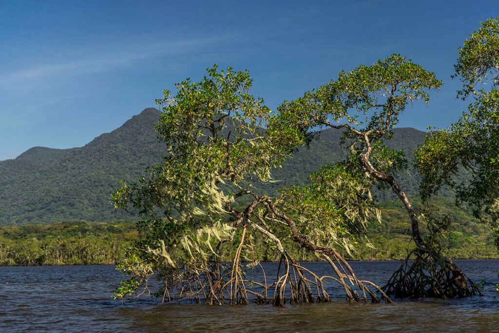 crise ambiental