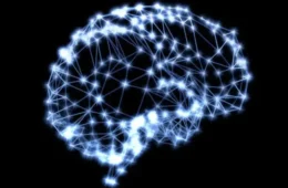 Cientistas identificam idade em que o cérebro começa a envelhecer mais rápido