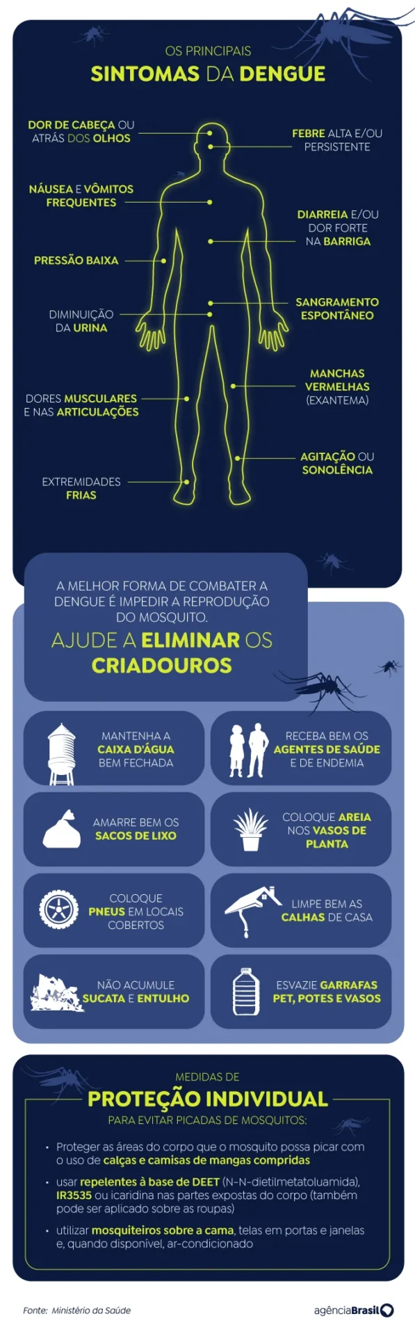 mosquito
