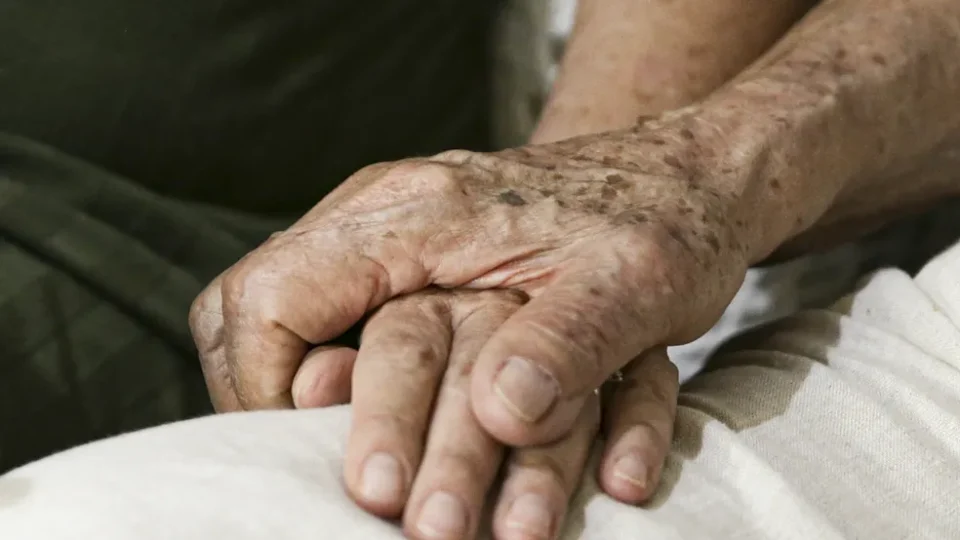 Estudo brasileiro aponta potencial de microdoses de cannabis contra Alzheimer