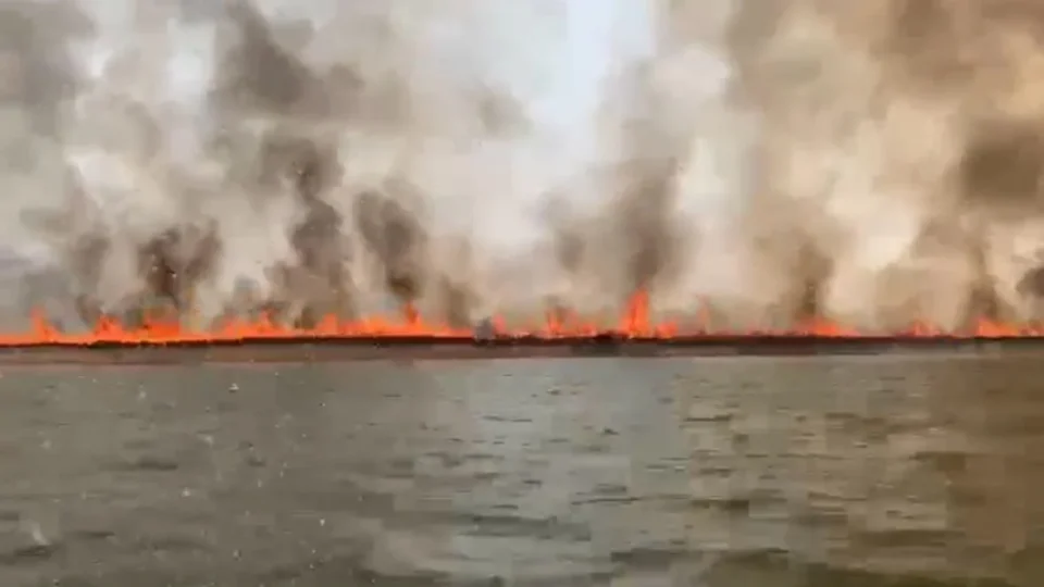 Barreira de fogo se forma durante incêndio em área do Parque Indígena Xingu