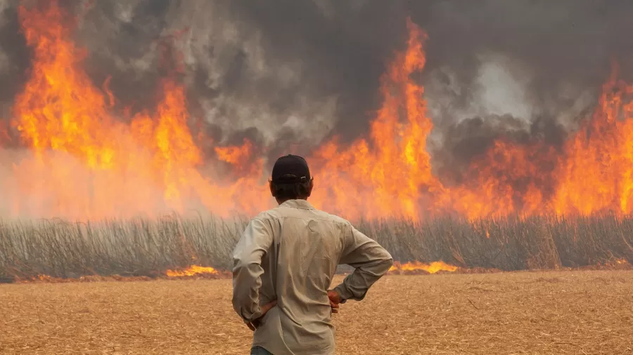 Organizações enviam carta aos bancos sobre riscos de incêndio durante El Niño