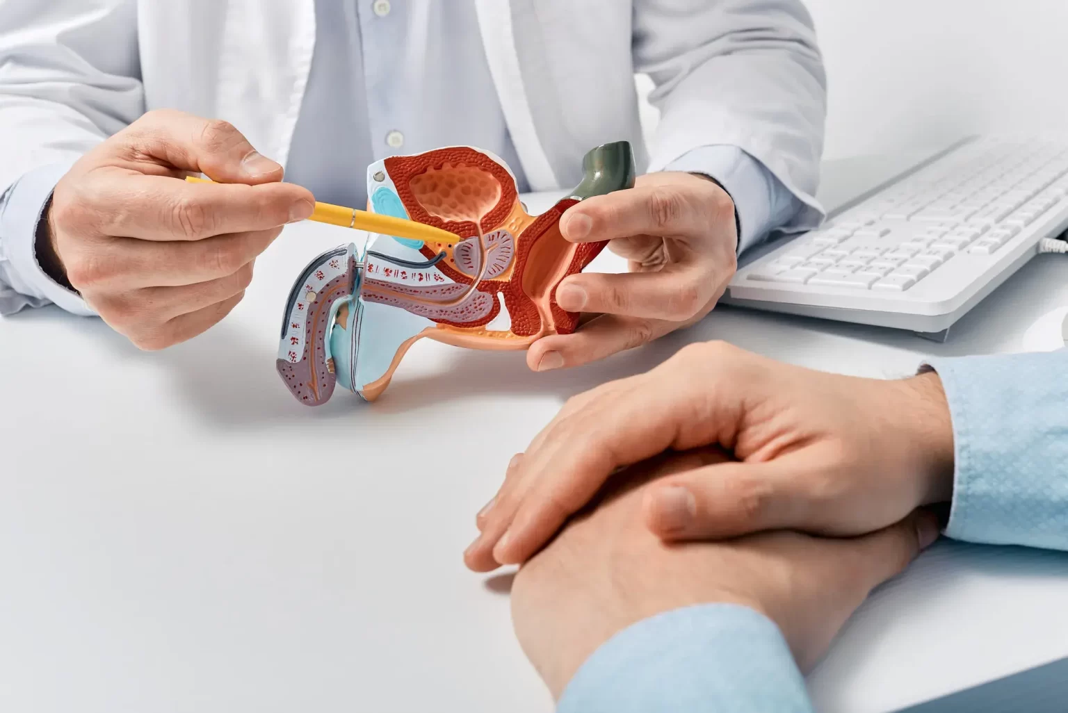 urologistas