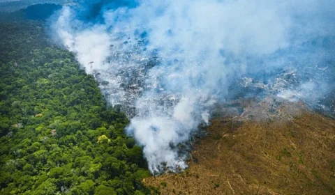 Estudo técnico aponta fragilidades do PL do licenciamento ambiental