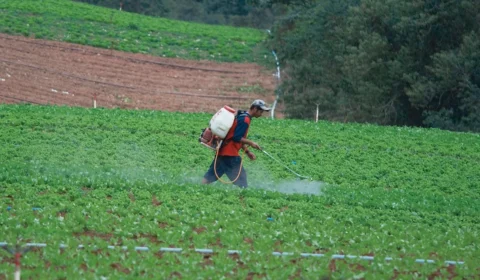 Com 276 casos, Brasil tem maior índice de contaminação por agrotóxicos em uma década