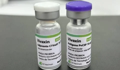 Vacina da USP contra malária vivax está em fase de patente