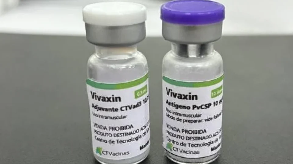 Vacina da USP contra malária vivax está em fase de patente