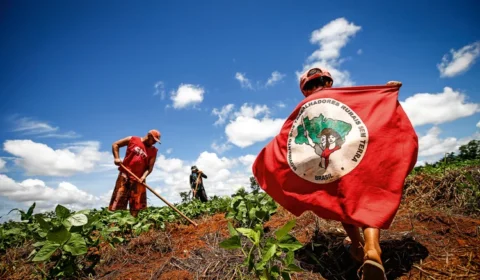 A colheita que queremos do governo Lula