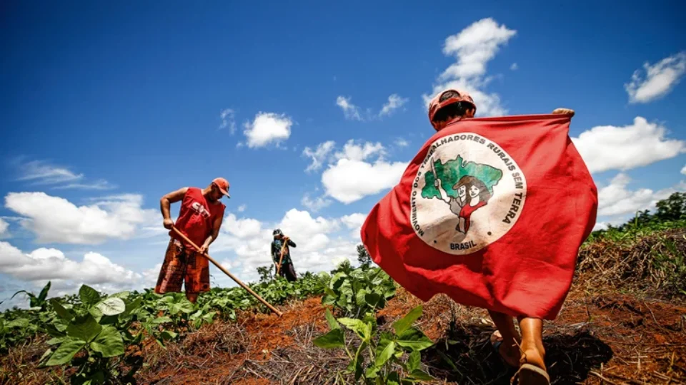 A colheita que queremos do governo Lula