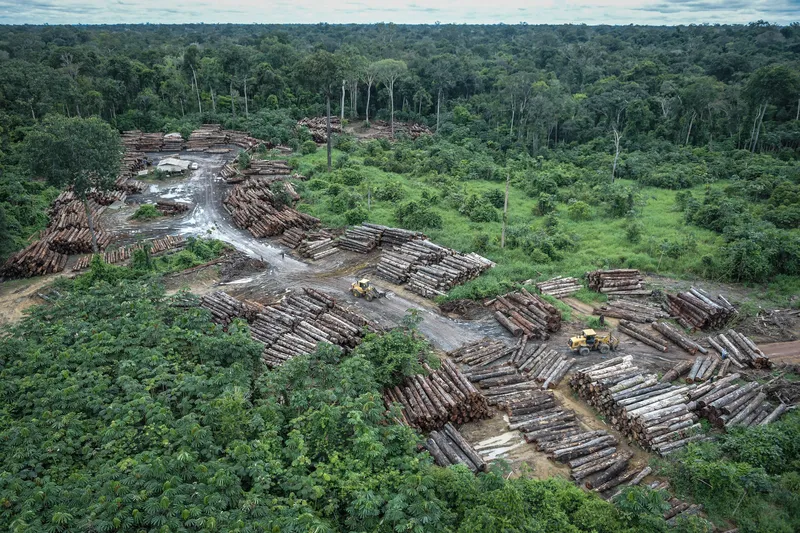 Terras de afrodescendentes e quilombolas têm até 55% menos desmatamento, diz estudo