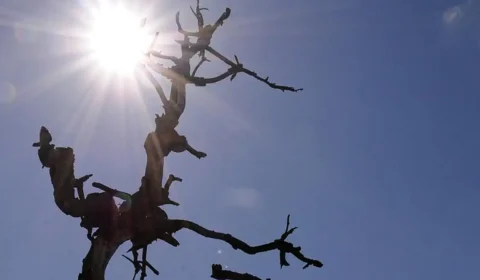 Frente fria se forma no Sul e calorão segue no Sudeste; veja a previsão