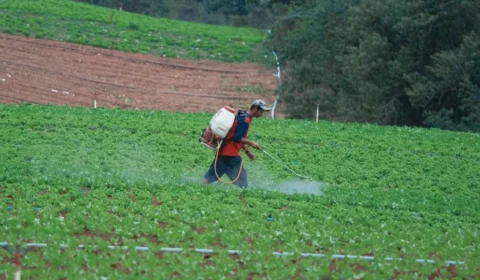 Com contaminação em alta, envenenamento por agrotóxicos mata 300 mil por ano